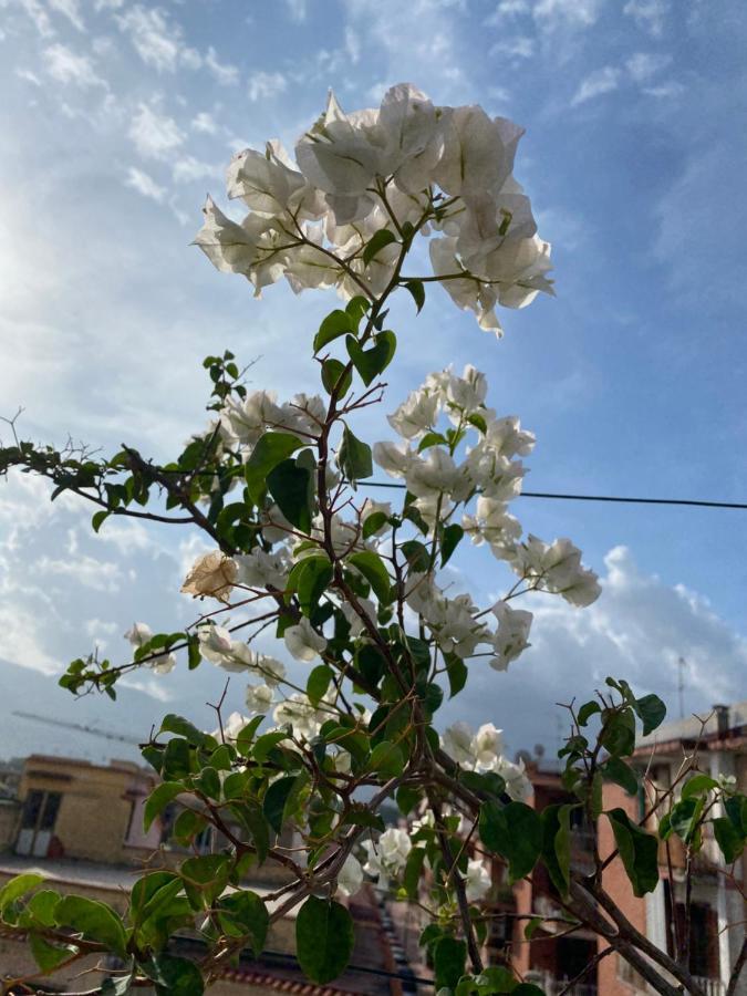 Pompei Terafi Home エクステリア 写真